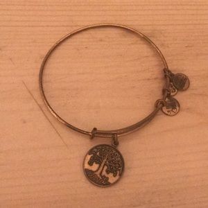Alex & Ani bracelet